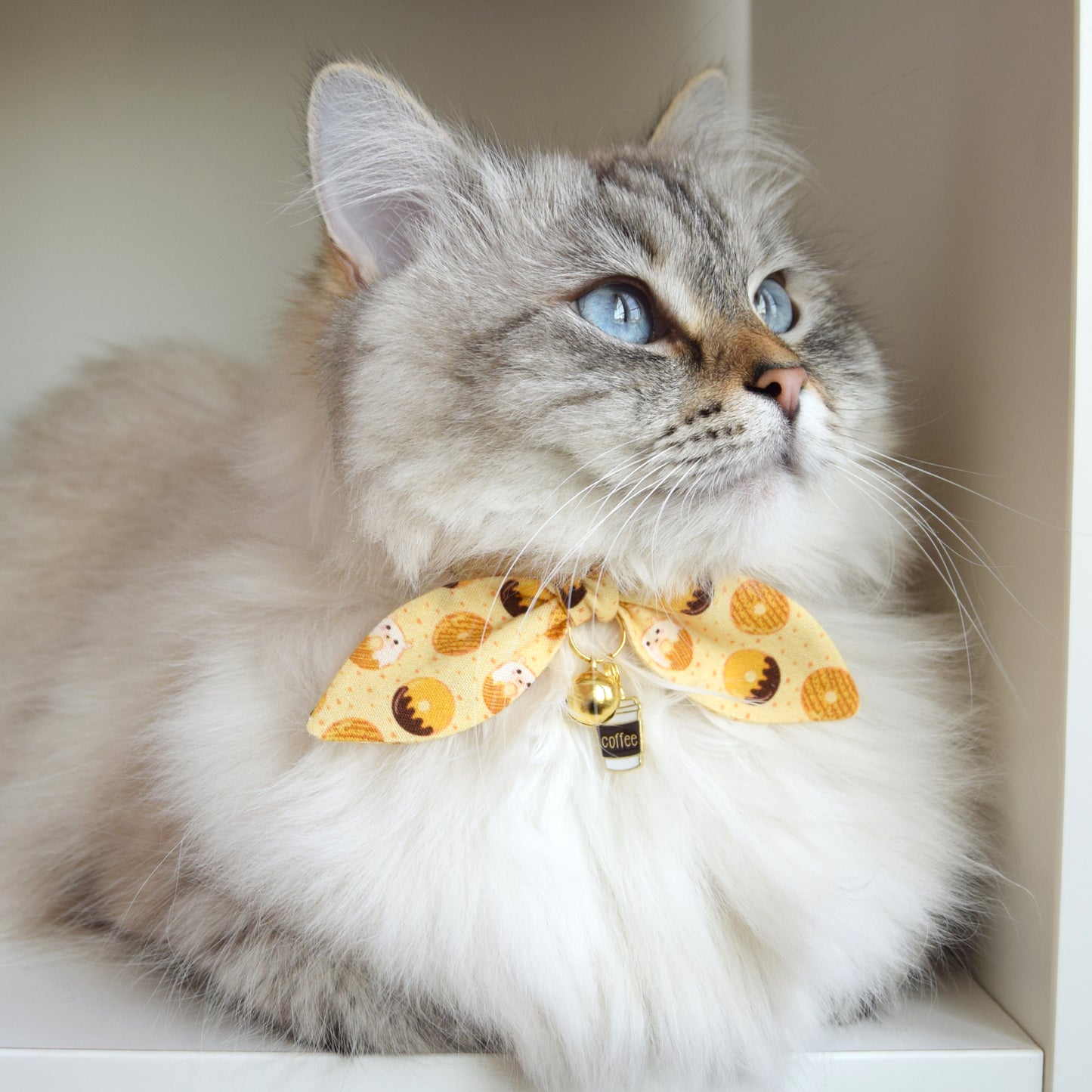 Donut and Coffee Cat Collar with Charm