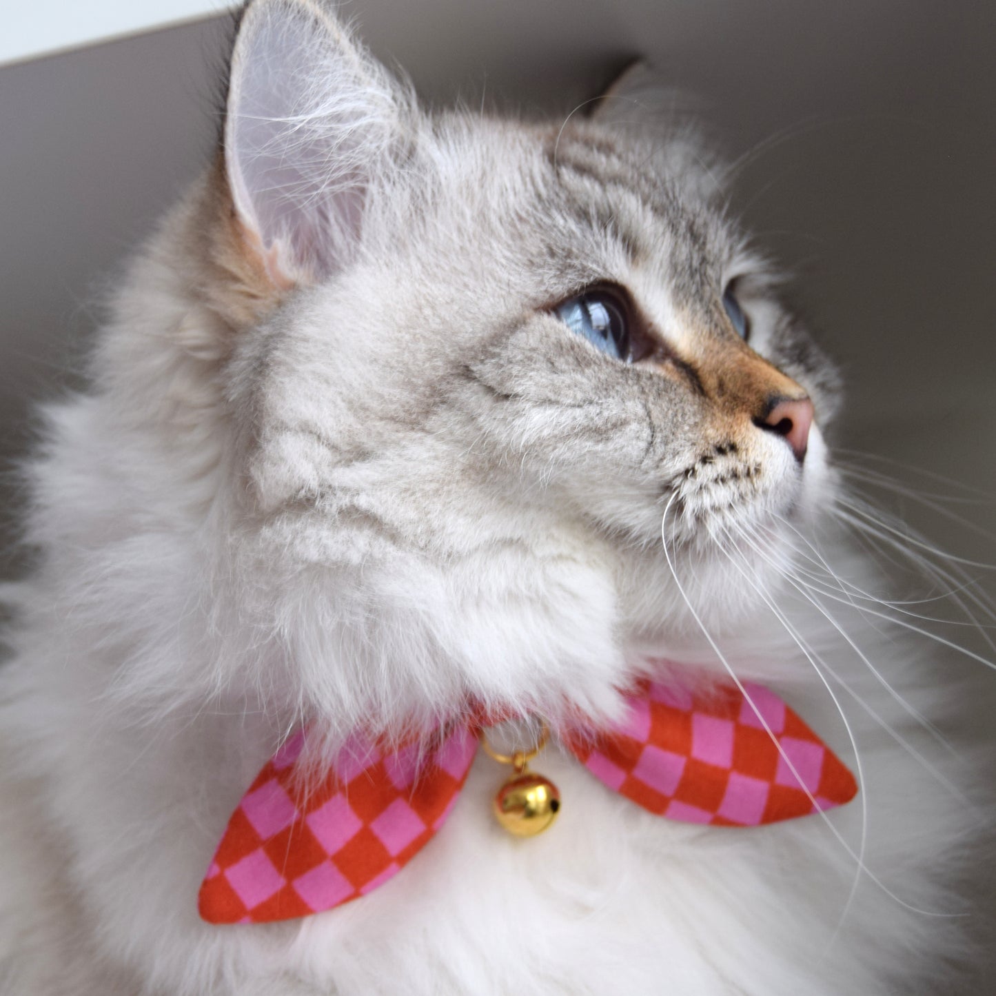 Red and Pink Checks Bow Cat Collar