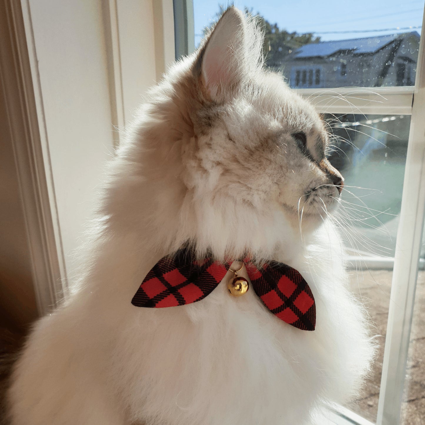 Red Buffalo Plaid Bow Cat Collar