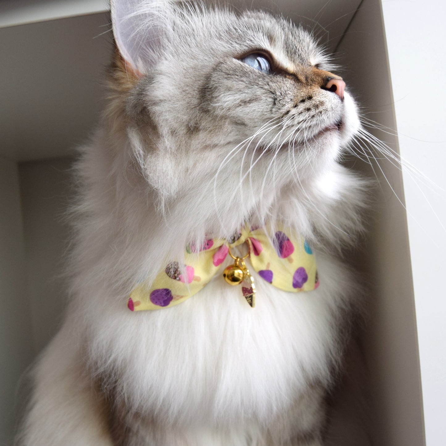 Yellow Ice Cream Cat Collar with Charm