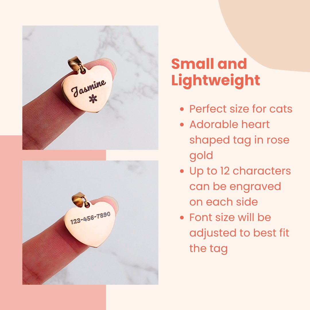 Burgundy Bow Collar with Tag