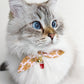 Gingerbread Man Cat Collar with Charm