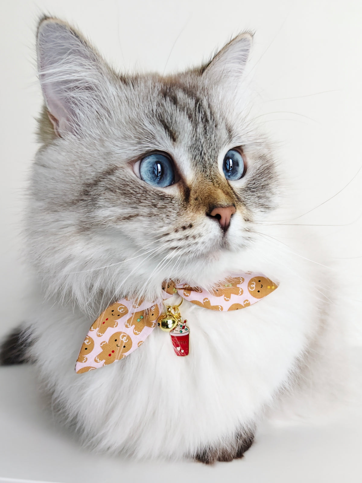 Gingerbread Man Cat Collar with Charm