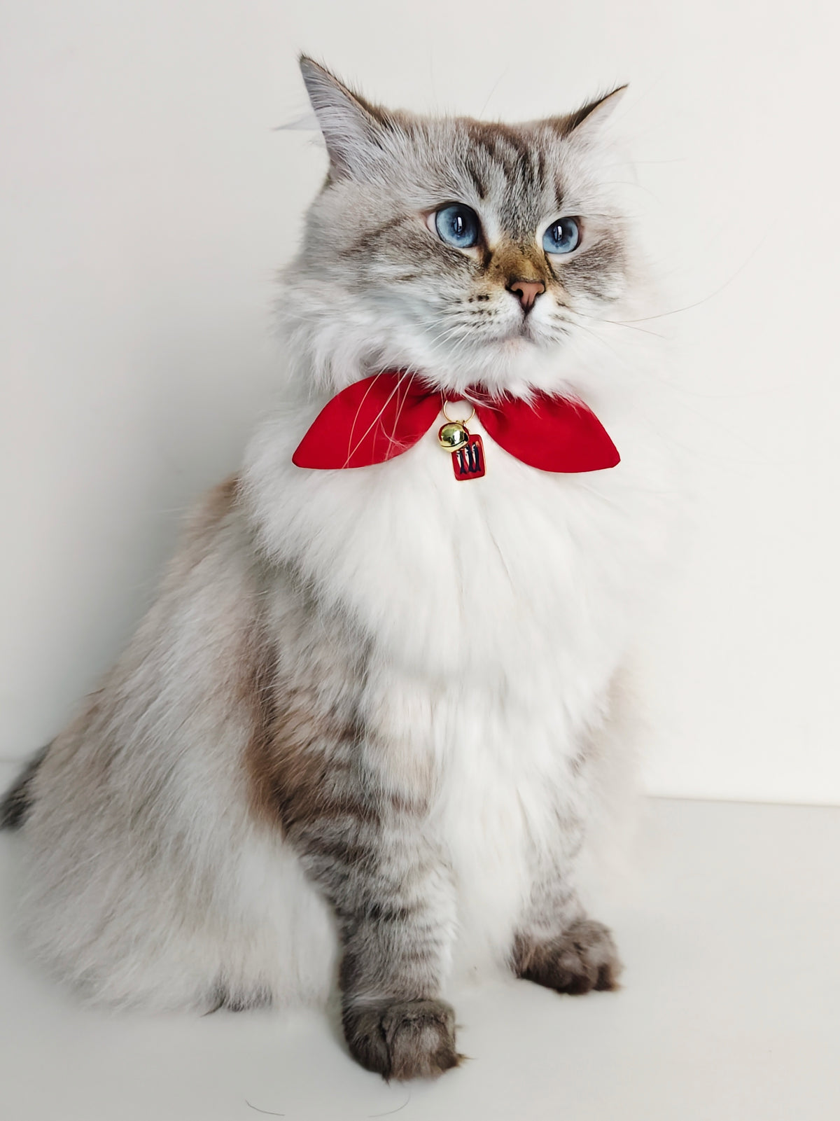 Red Bow Cat Collar with Fish Charm