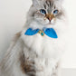 Blue Cat Collar with Crystal Charm