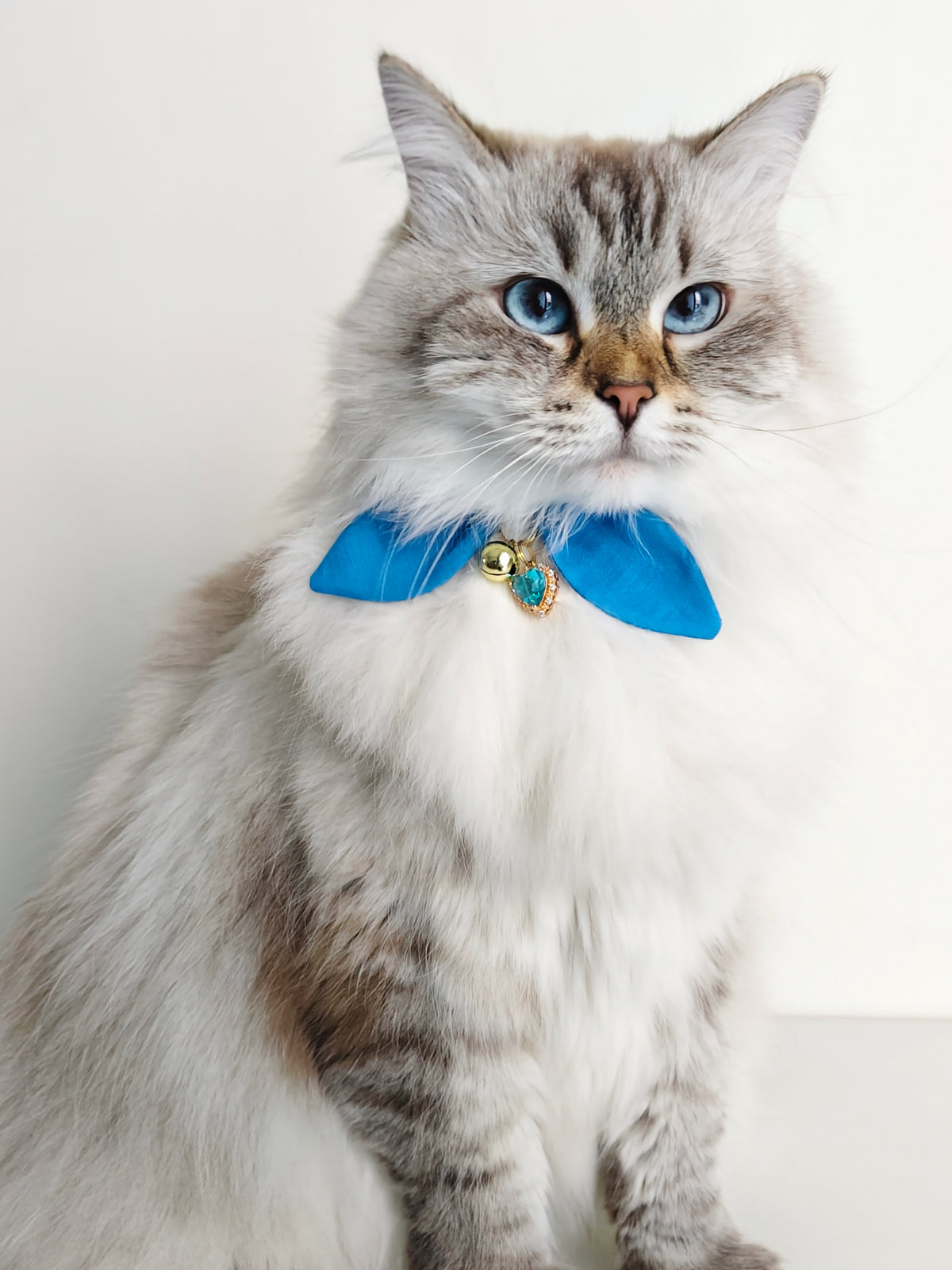 Blue Cat Collar with Crystal Charm