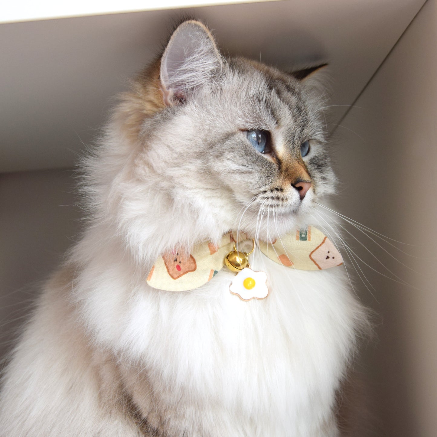 Egg and Toast Cat Collar with Charm