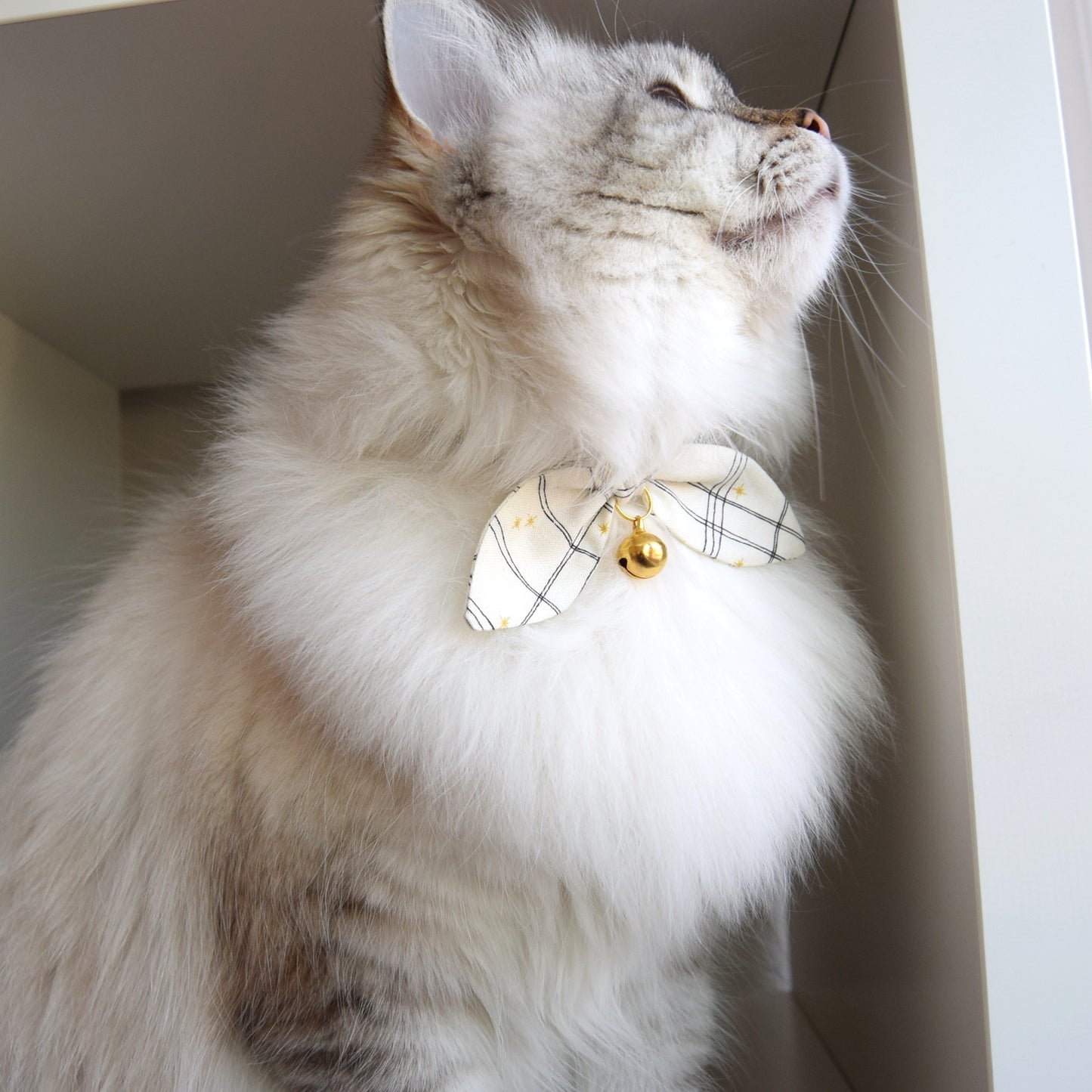 Ivory Plaid Bow Cat Collar