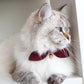 Burgundy Bow Cat Collar