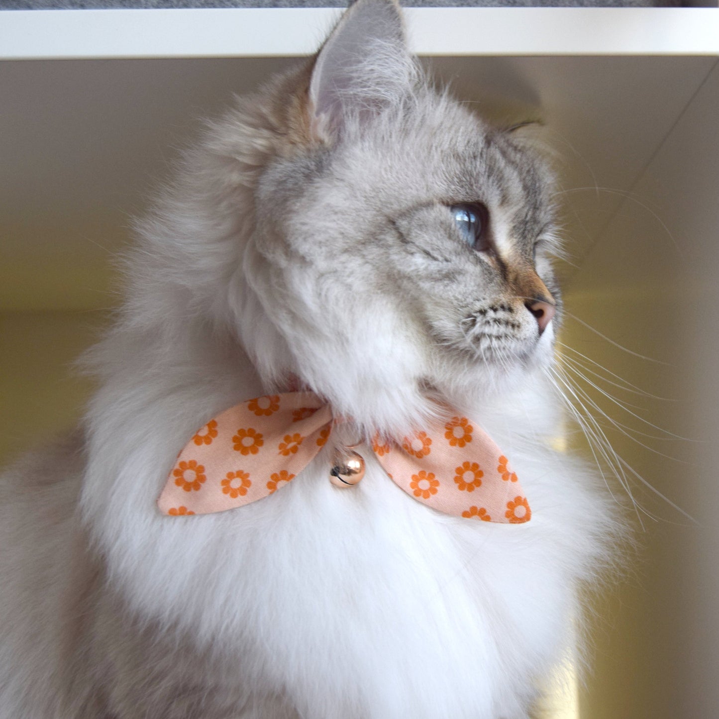 Pastel Orange Retro Daisy Bow Cat Collar